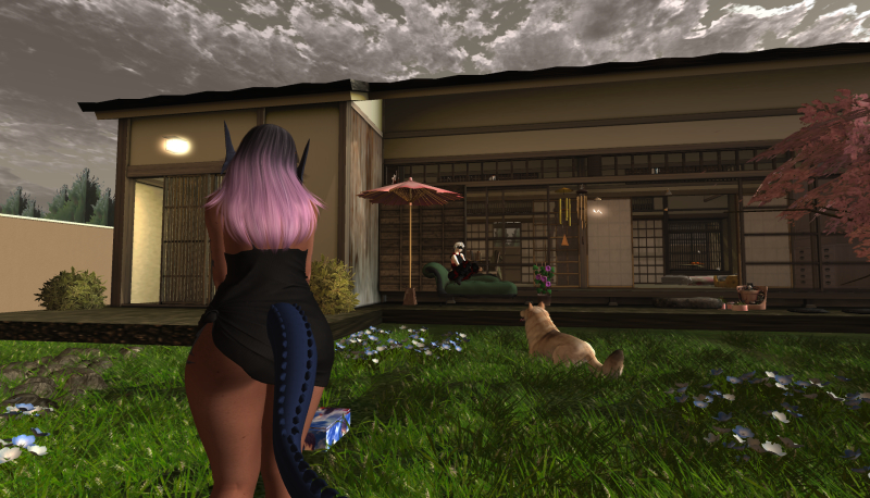 Snapshot_002_a