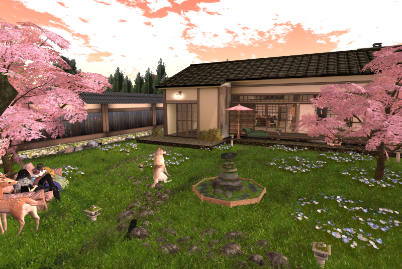 Snapshot_012