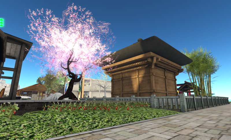 Machiii_2026-01-15_234026_001