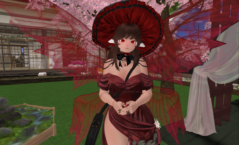 starla_2026-02-16_004534_001